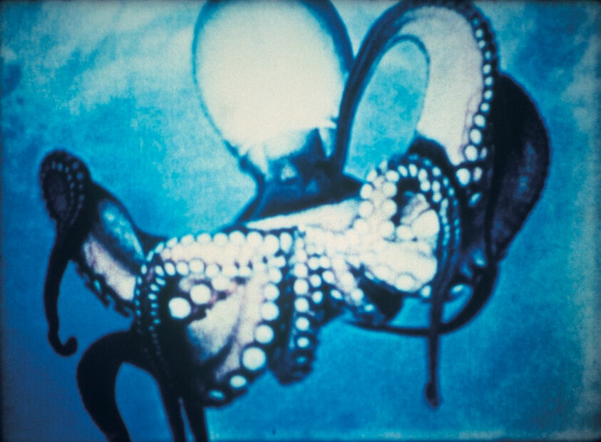Under Water Sea Fantasy