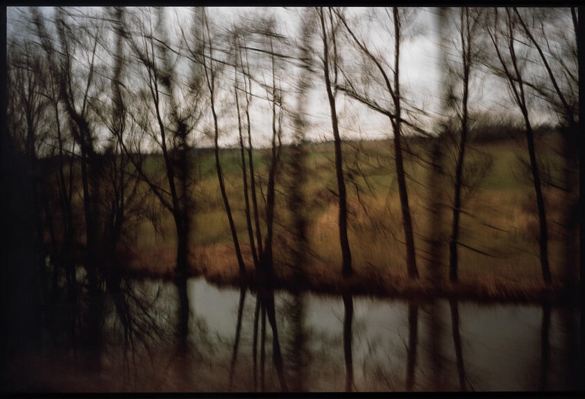 Trees by the river, Munich