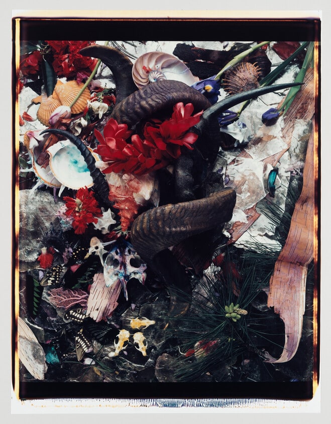 Untitled #8