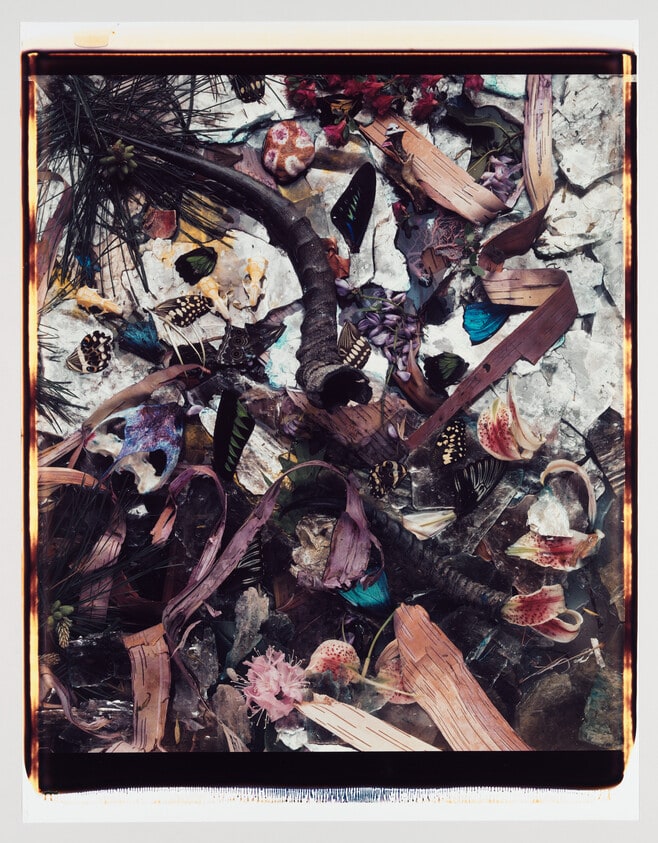 Untitled #3