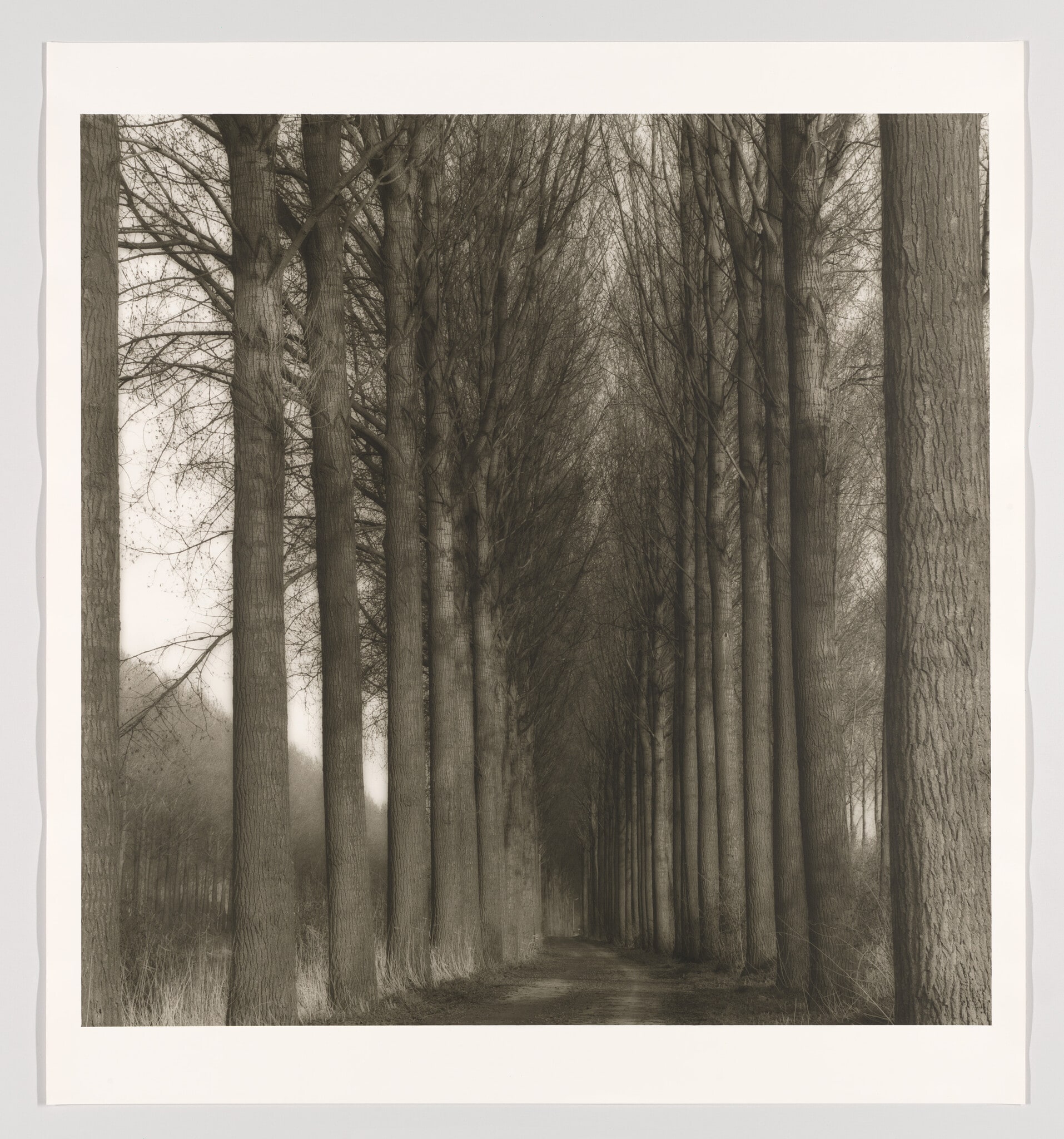 Damme, Belgium (4-92-112-11)