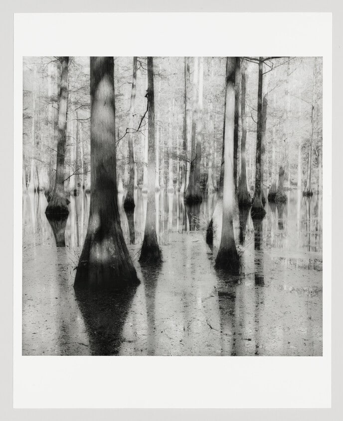 Bayou