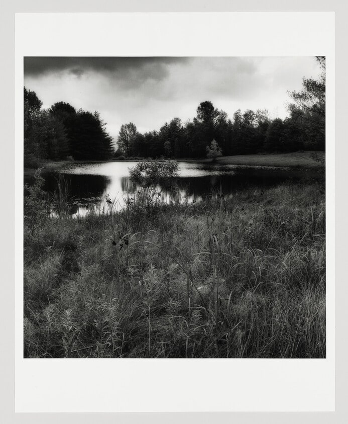 Pond