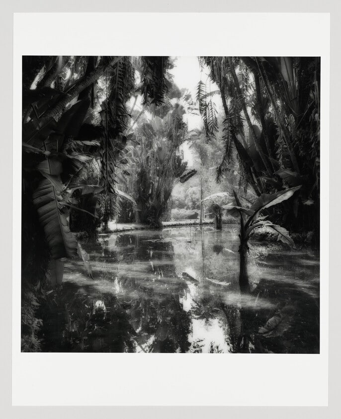 Rio, Botanical Garden #1