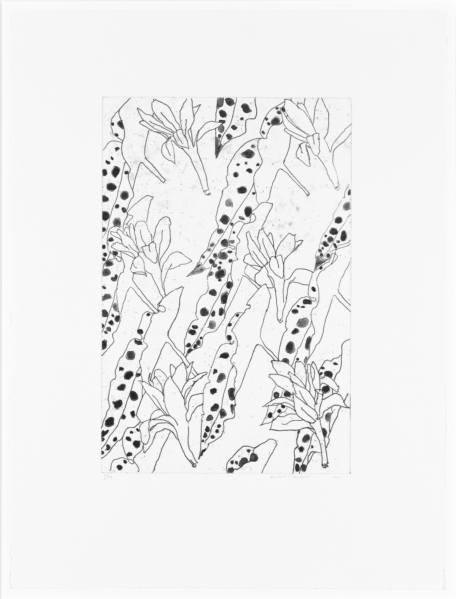 Tuberose and Croton
