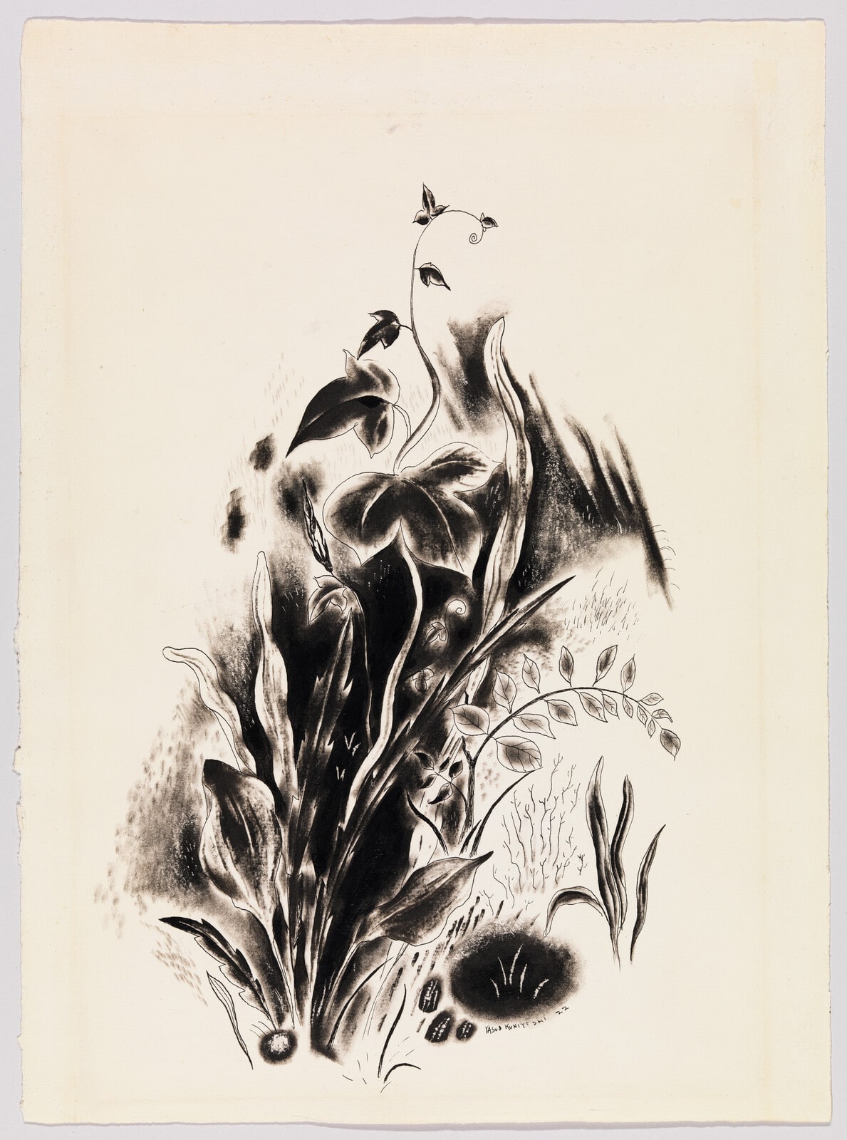 Morning Glory and Weeds
