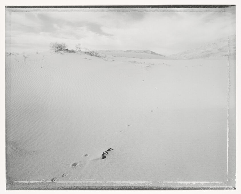 Gun found in drifting sand