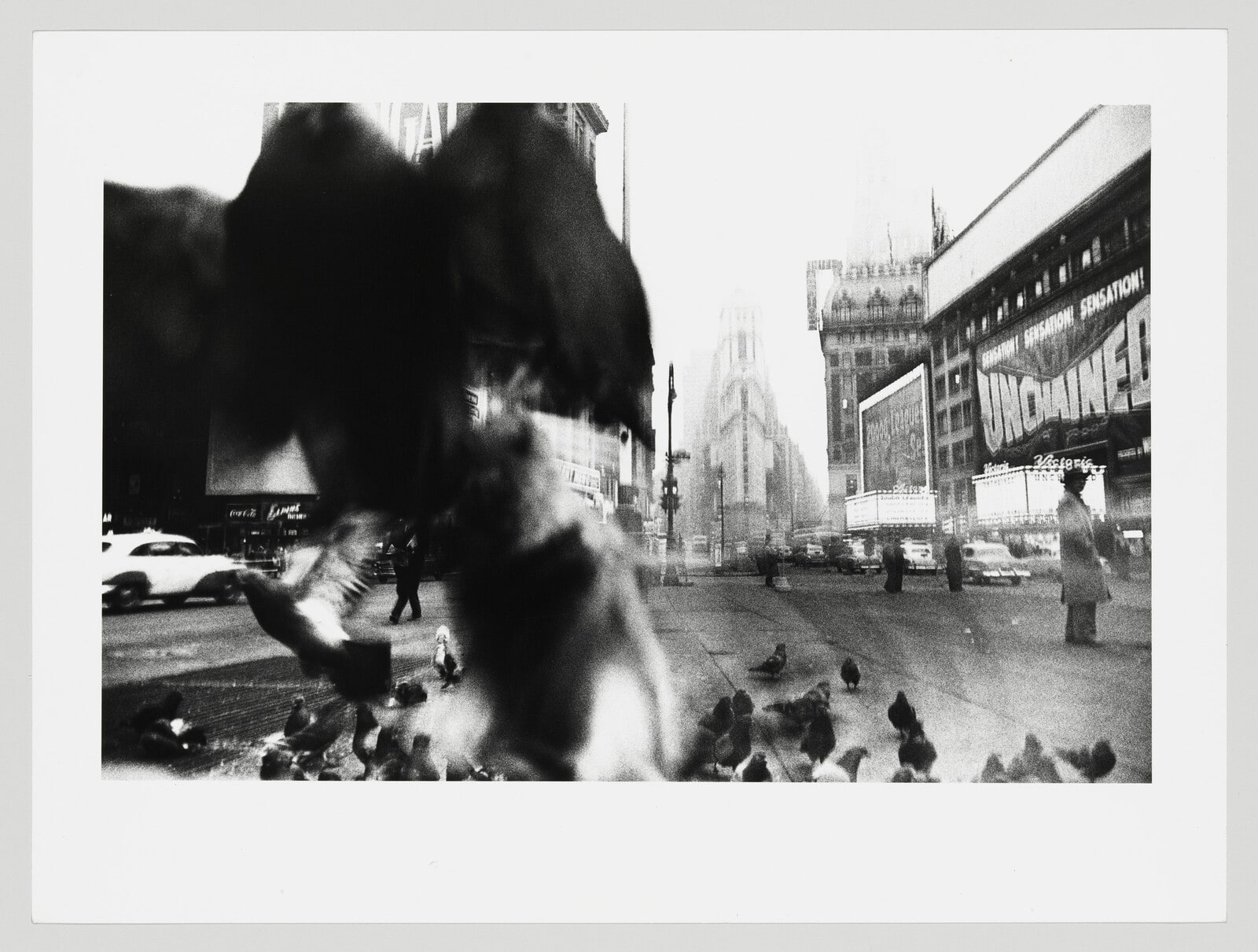 Pigeons, Herald Square