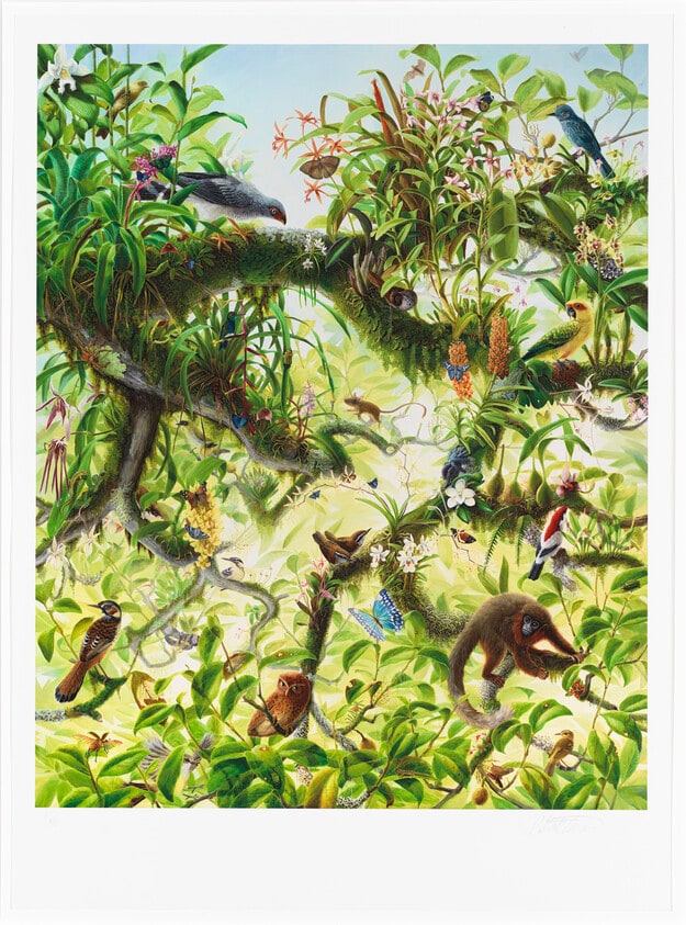 Canopy