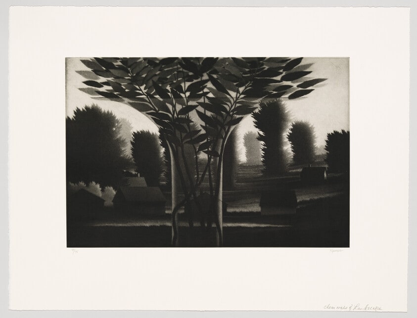 Clear Vase and Landscape