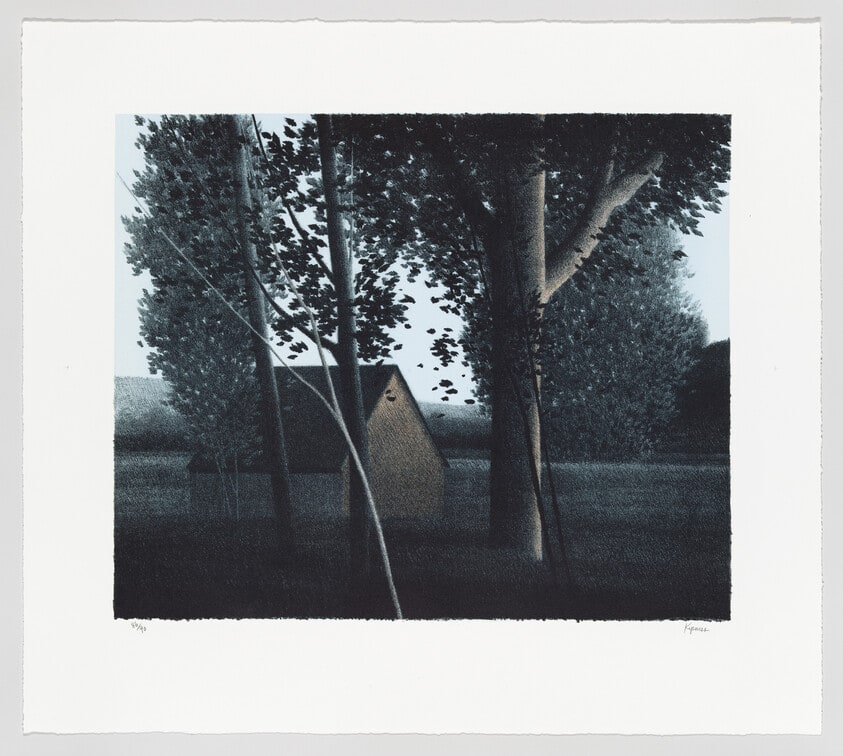 Dark Trees