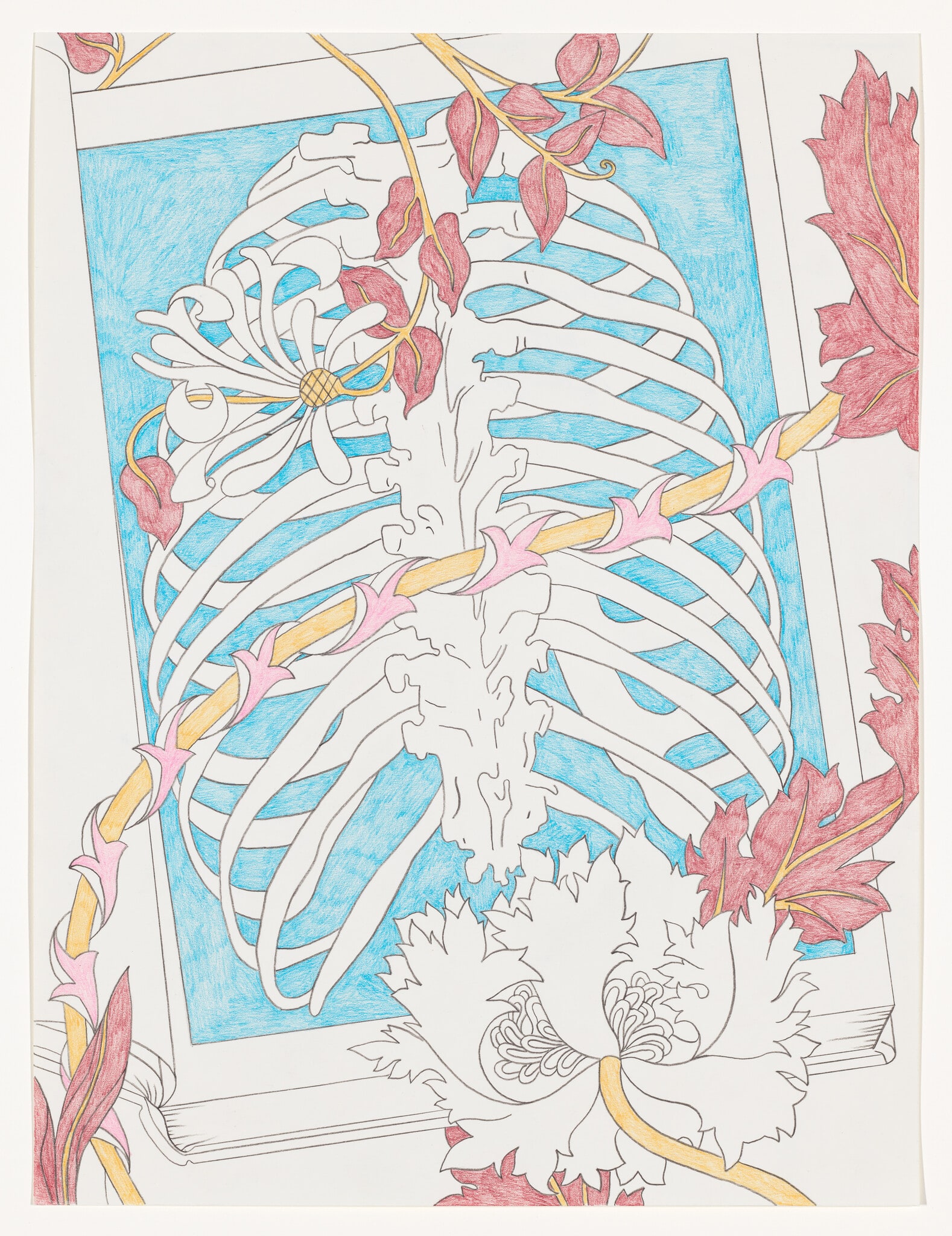 Untitled (Bio)