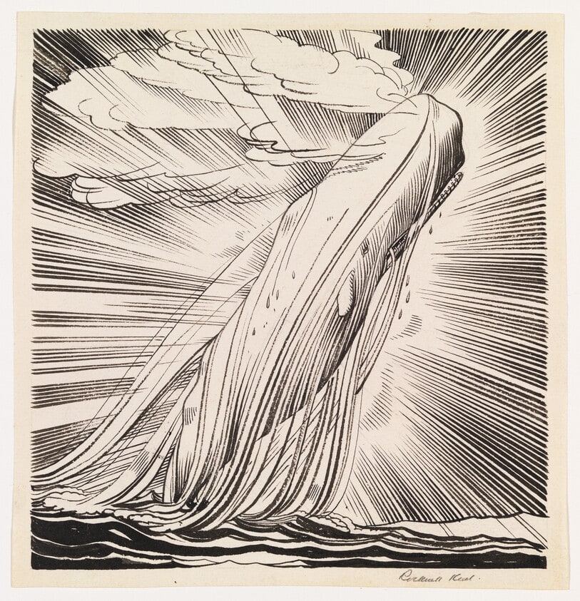 Moby Dick in Full Strength