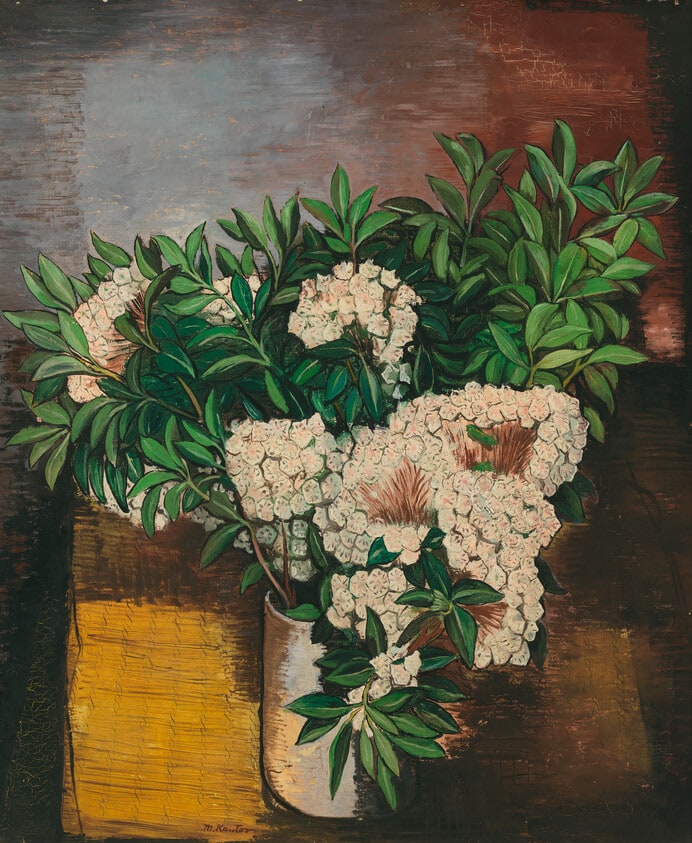 Laurel