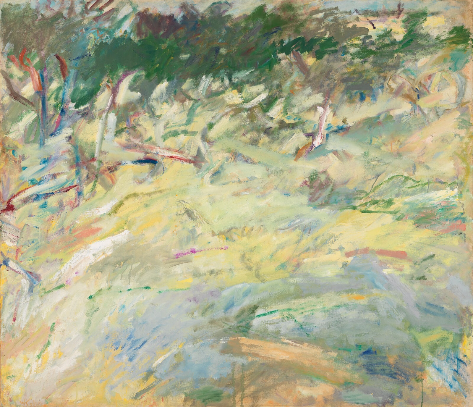 Large Olive Grove