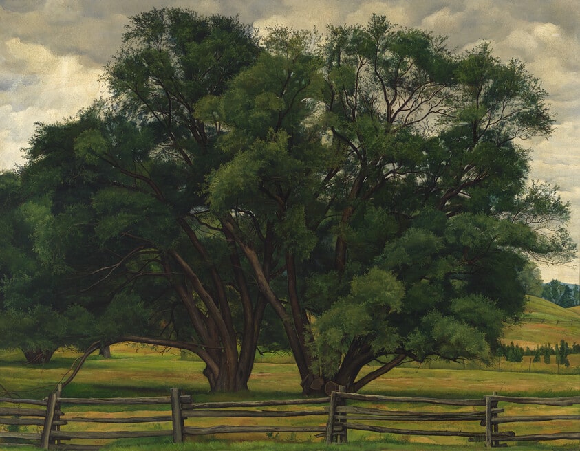 Two Willows