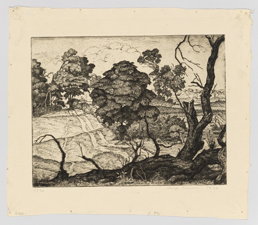 Long Island Landscape