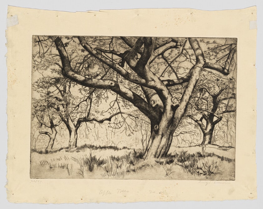 Apple Trees