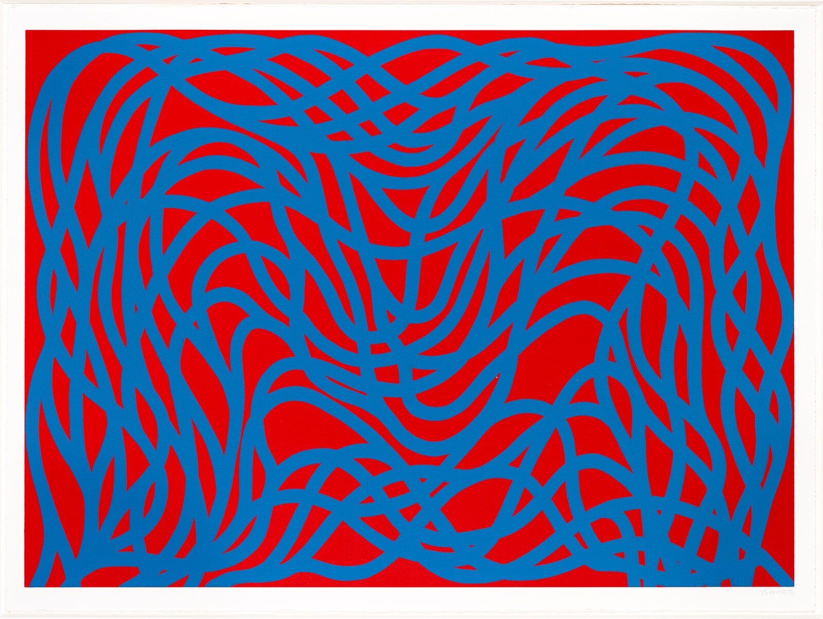 Loopy Doopy, Blue/Red