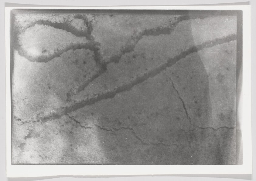 Untitled (Ant farm)