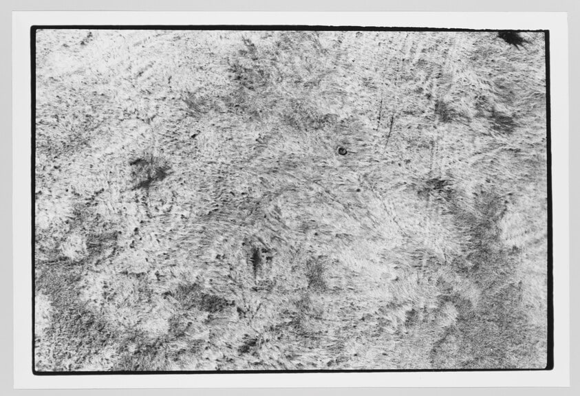 Untitled (Grass)