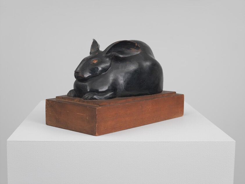 Rabbit