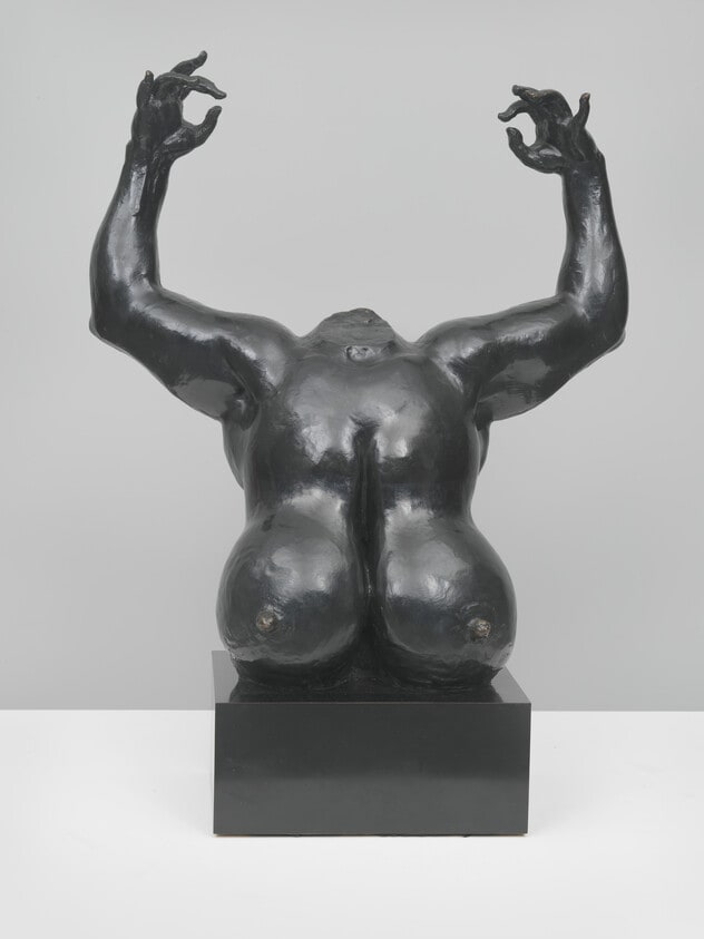 Torso with Arms Raised