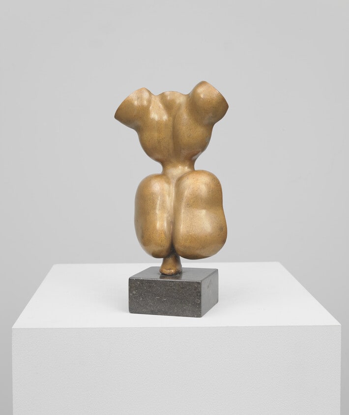 Torso
