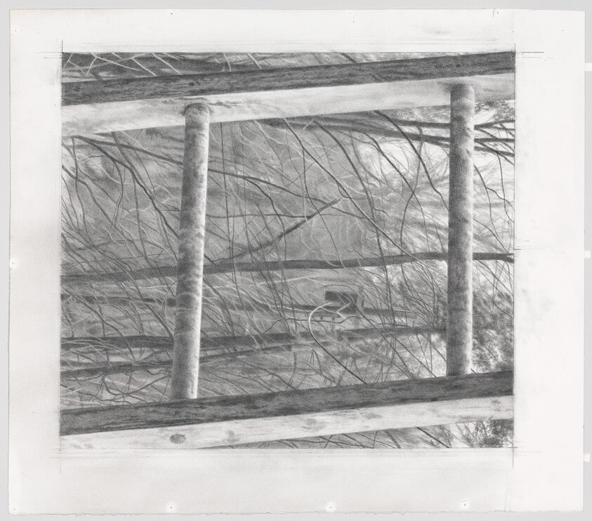 Ladder, Cloudy Day