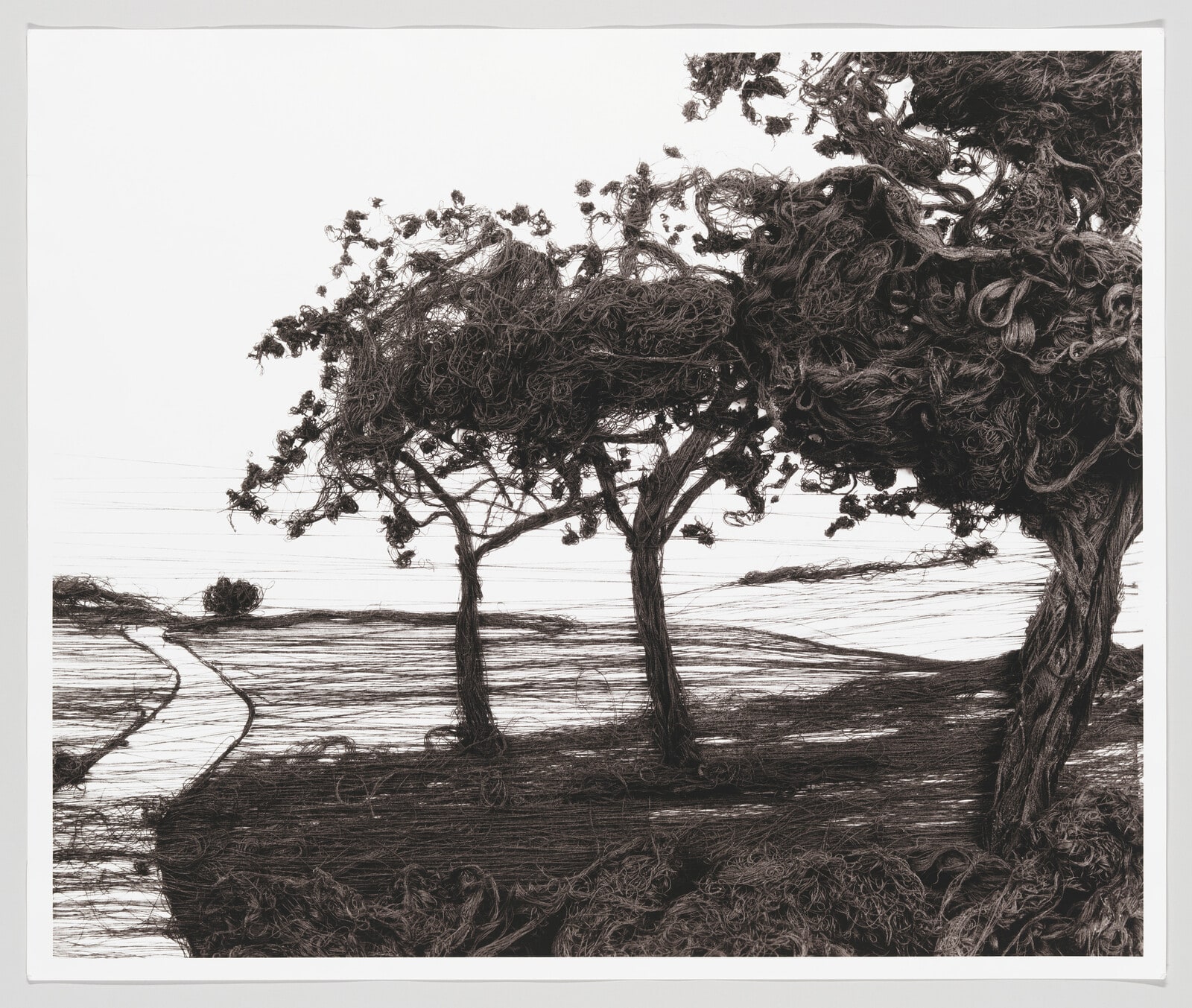 4,000 Yards (Apple Trees, after Gerhard Richter)