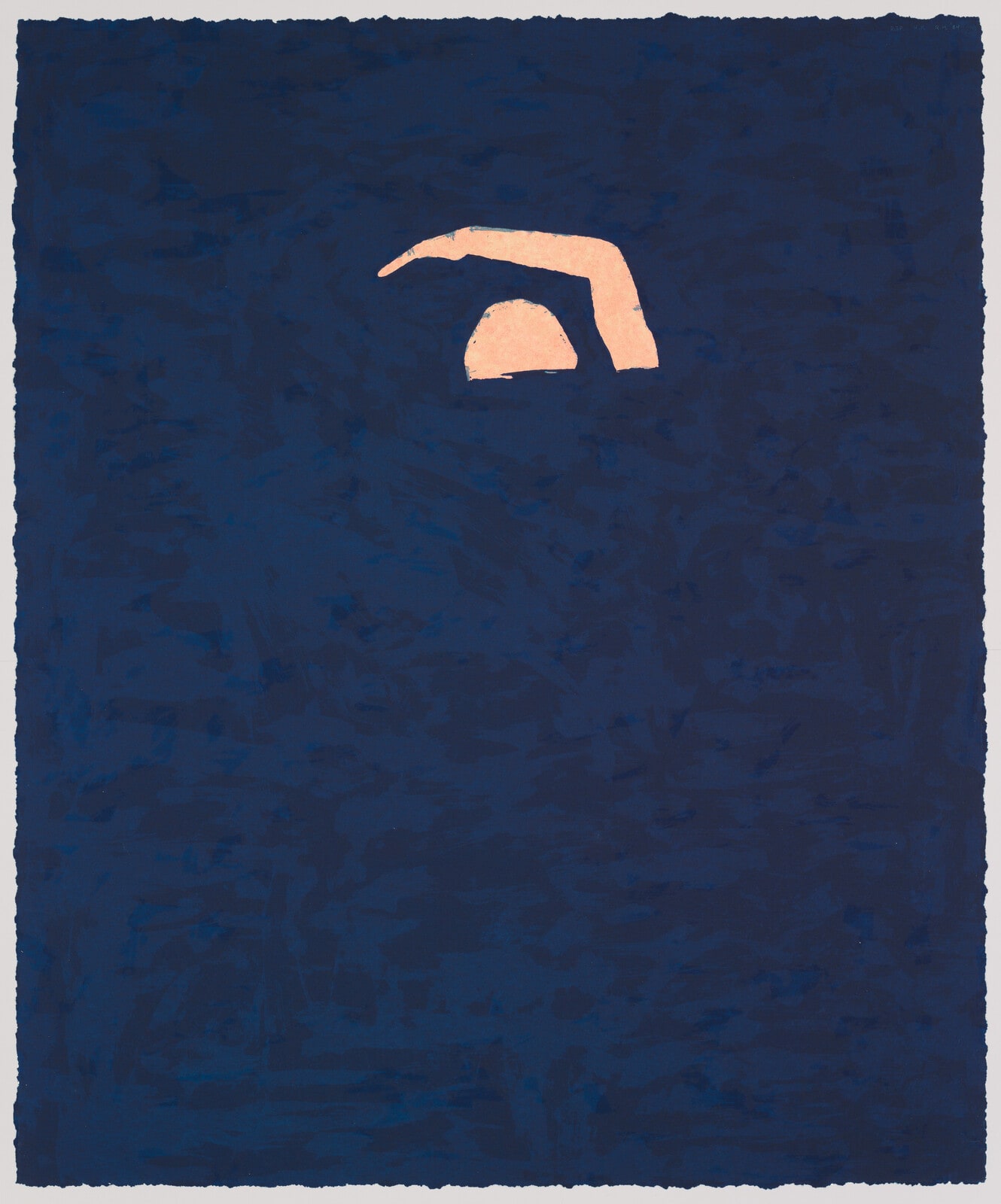 Swimmer