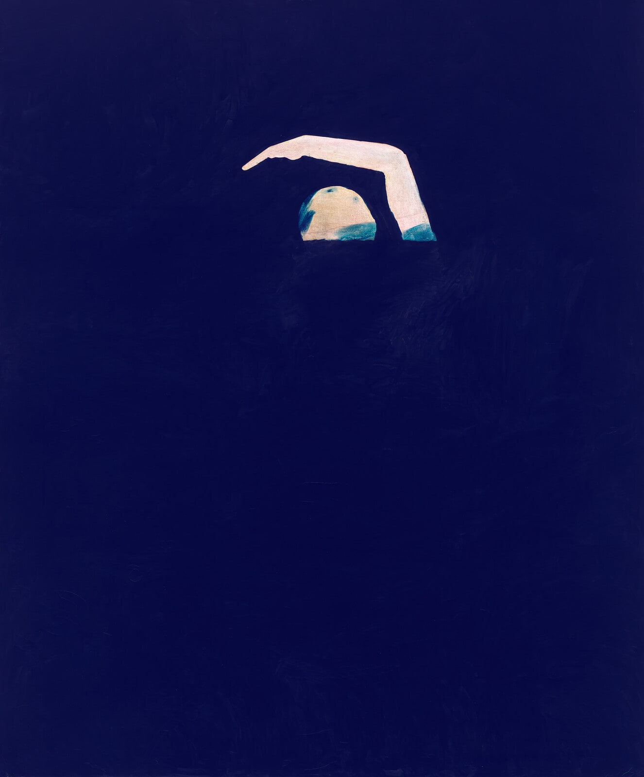 Swimmer
