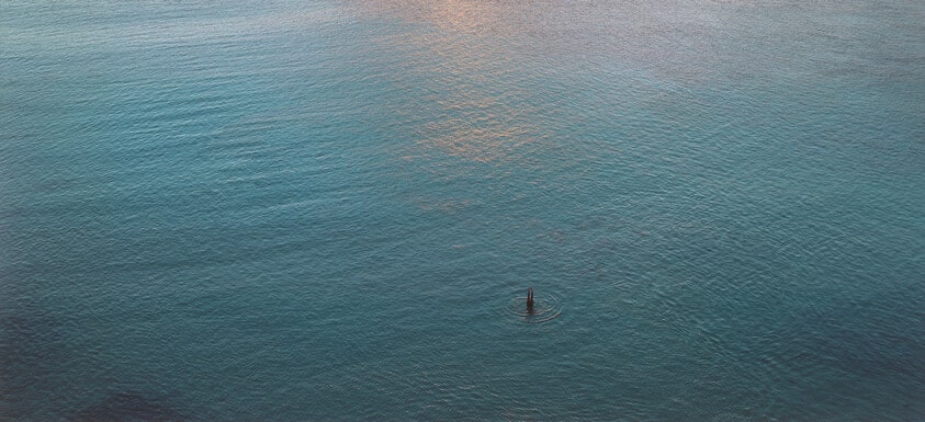 Untitled [Handstand]