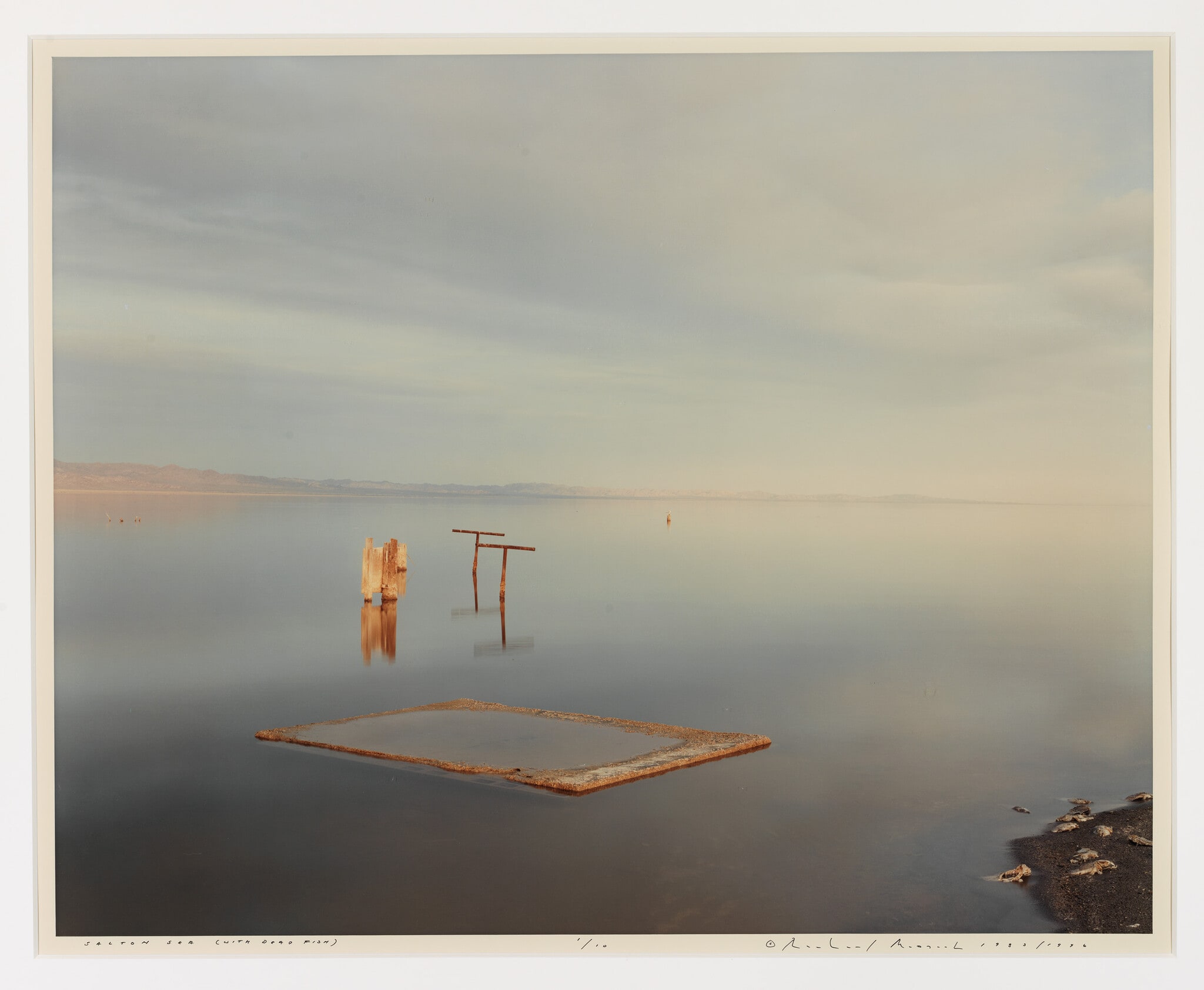 Salton Sea (with Dead Fish)