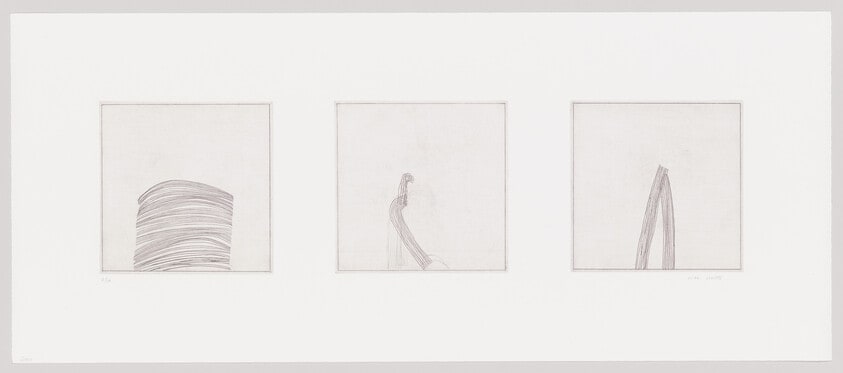 White-Nature-Act