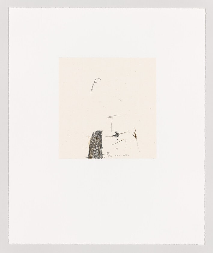 4. brothers wound (from Orchard Drawings)