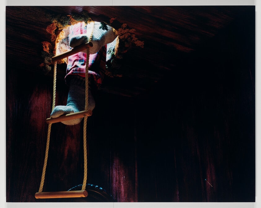 Crow's Nest