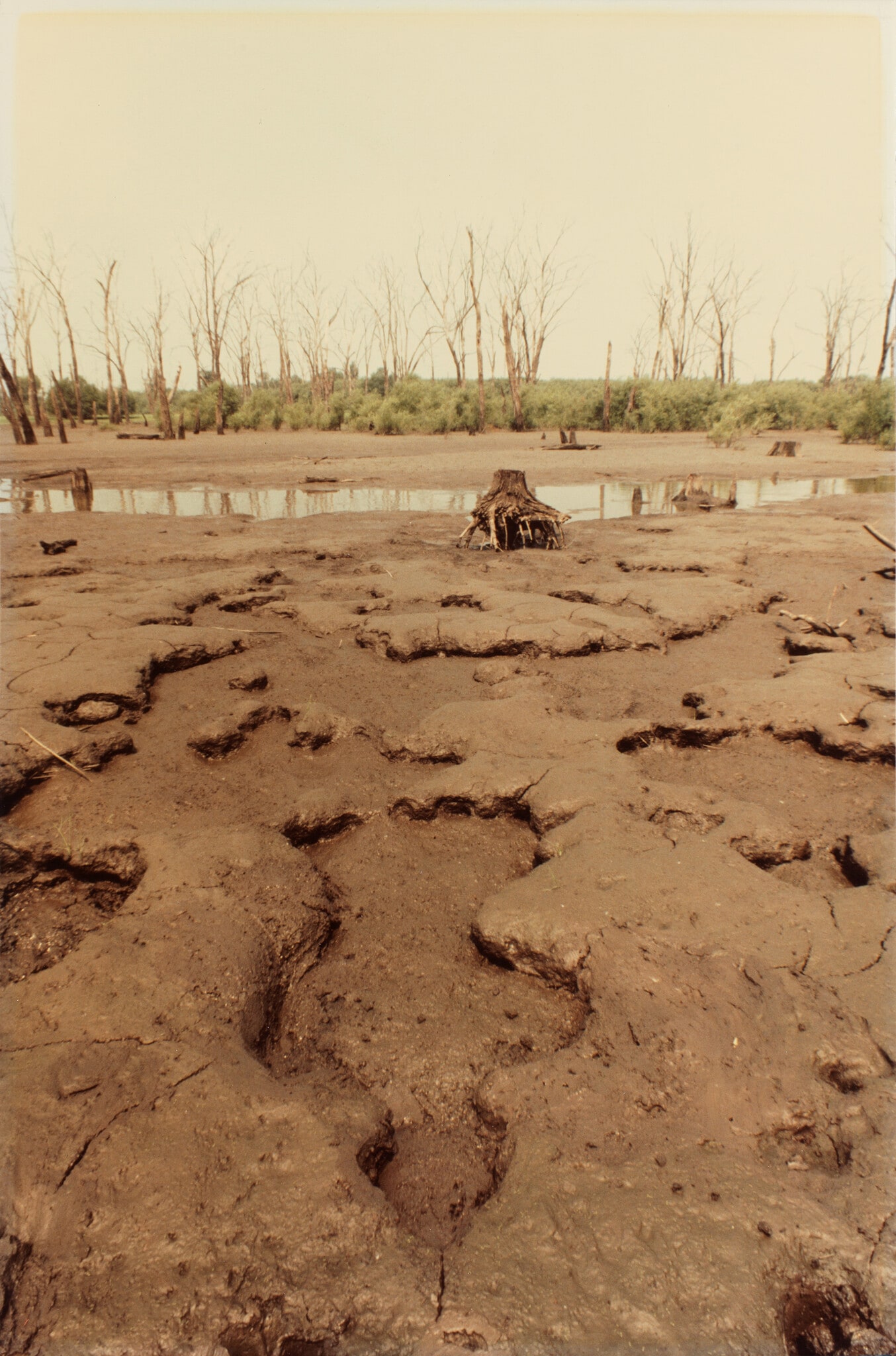 Untitled (Silueta Series, Iowa)