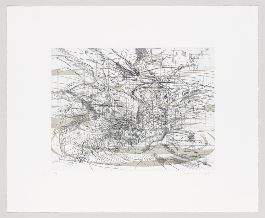"Deluge" for the Whitney Museum Gala