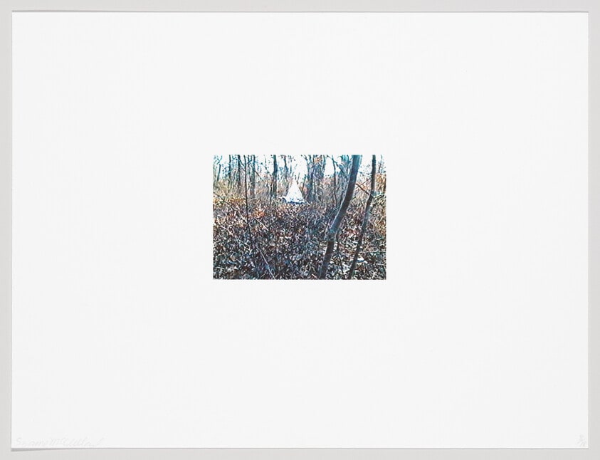 (Iris Print)