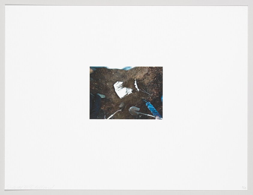 (Iris Print)