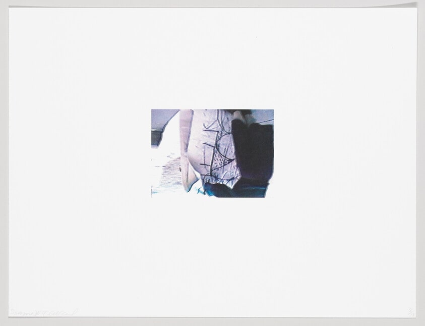 (Iris Print)