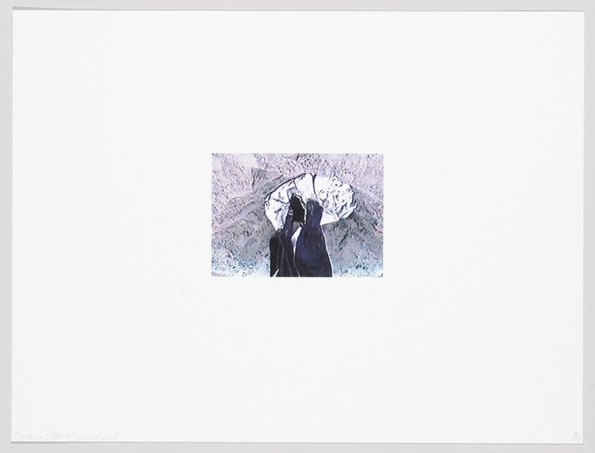 (Iris Print)