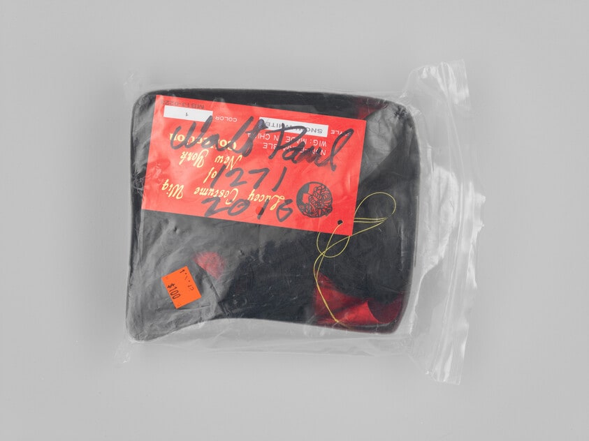 Walt Paul Store, WS, Wig Adult - Elegant