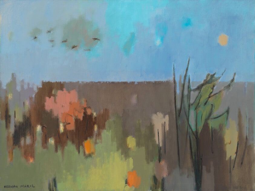 Marsh Birds