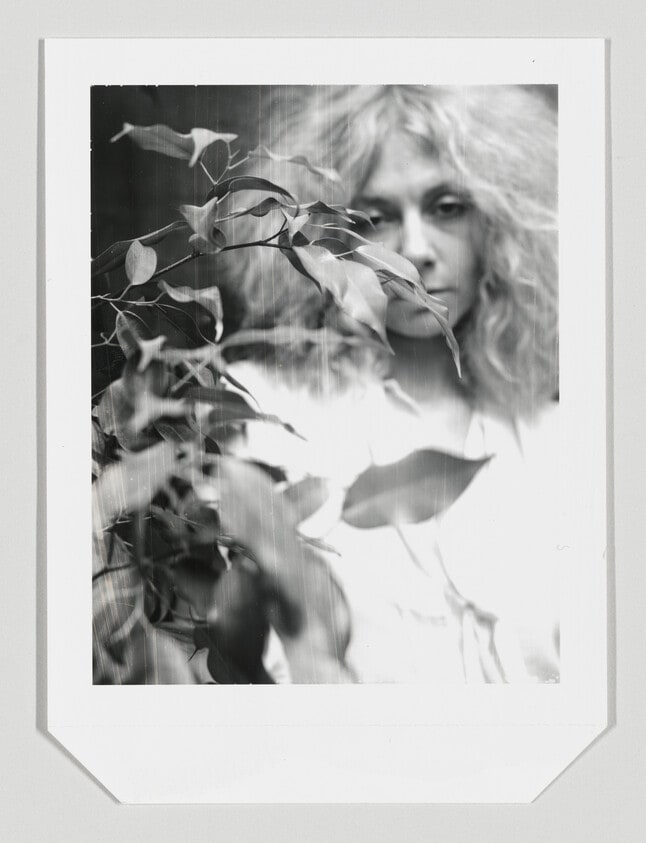 Untitled (Helen Marden)
