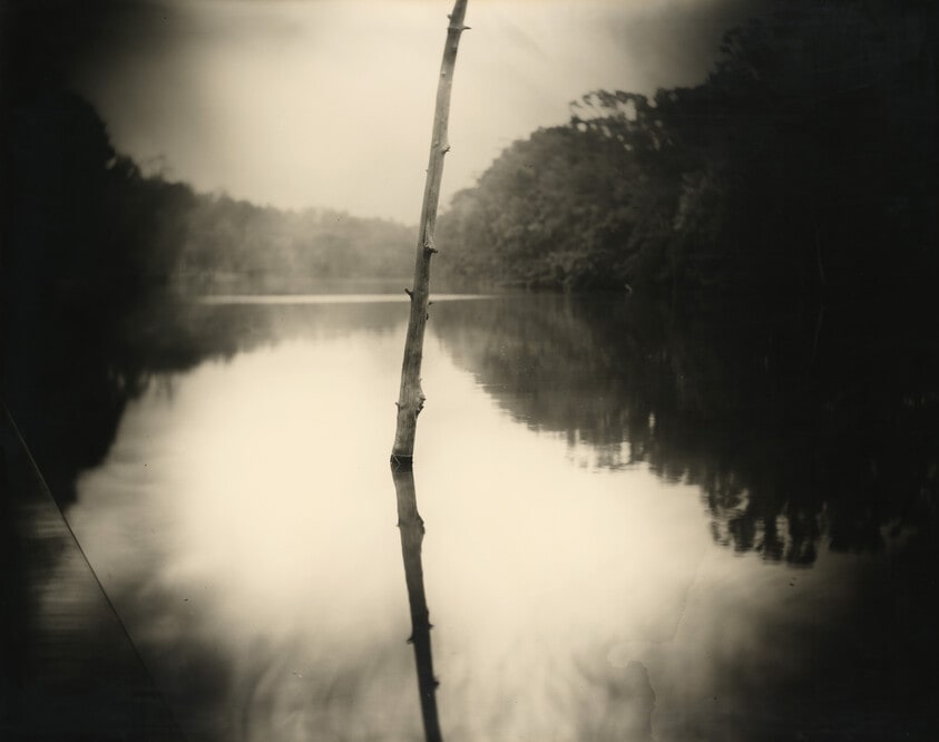 Untitled (Deep South #22)