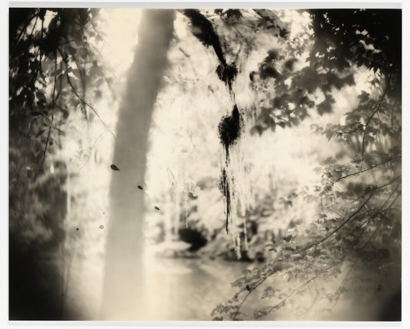 Untitled (Deep South #16)