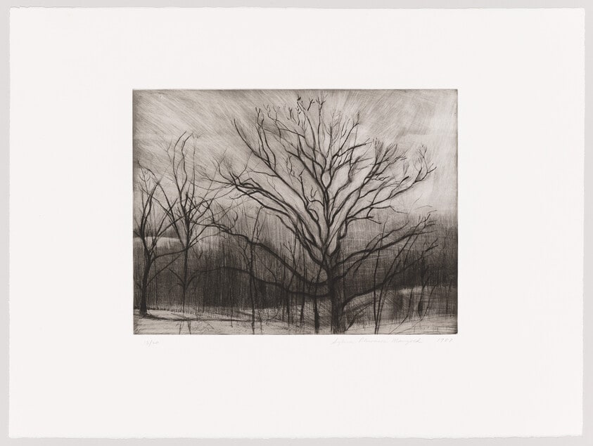 The Oak by the Woods