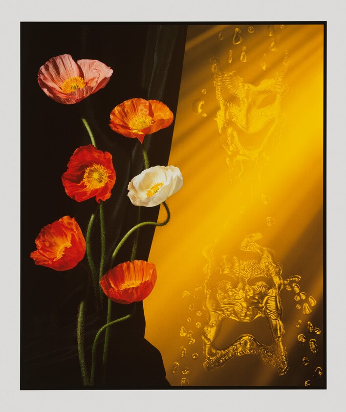 Poppies